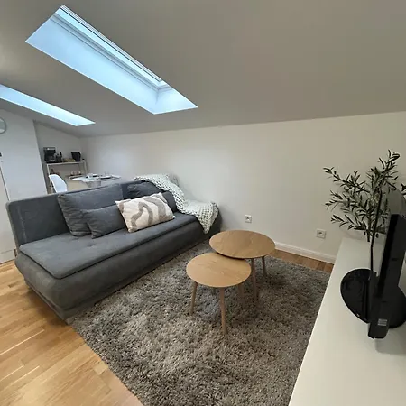 Modern Flat In Iconic Location Praga